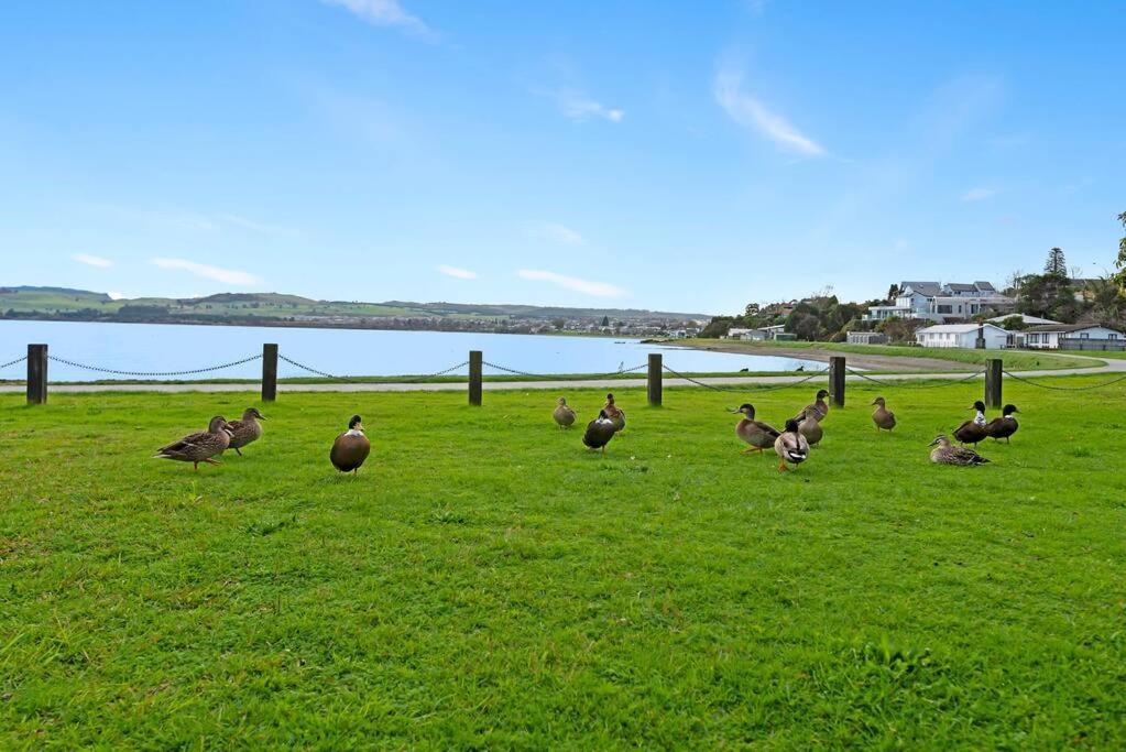 Waimahana - Luxury By The Lake Taupo Exteriér fotografie